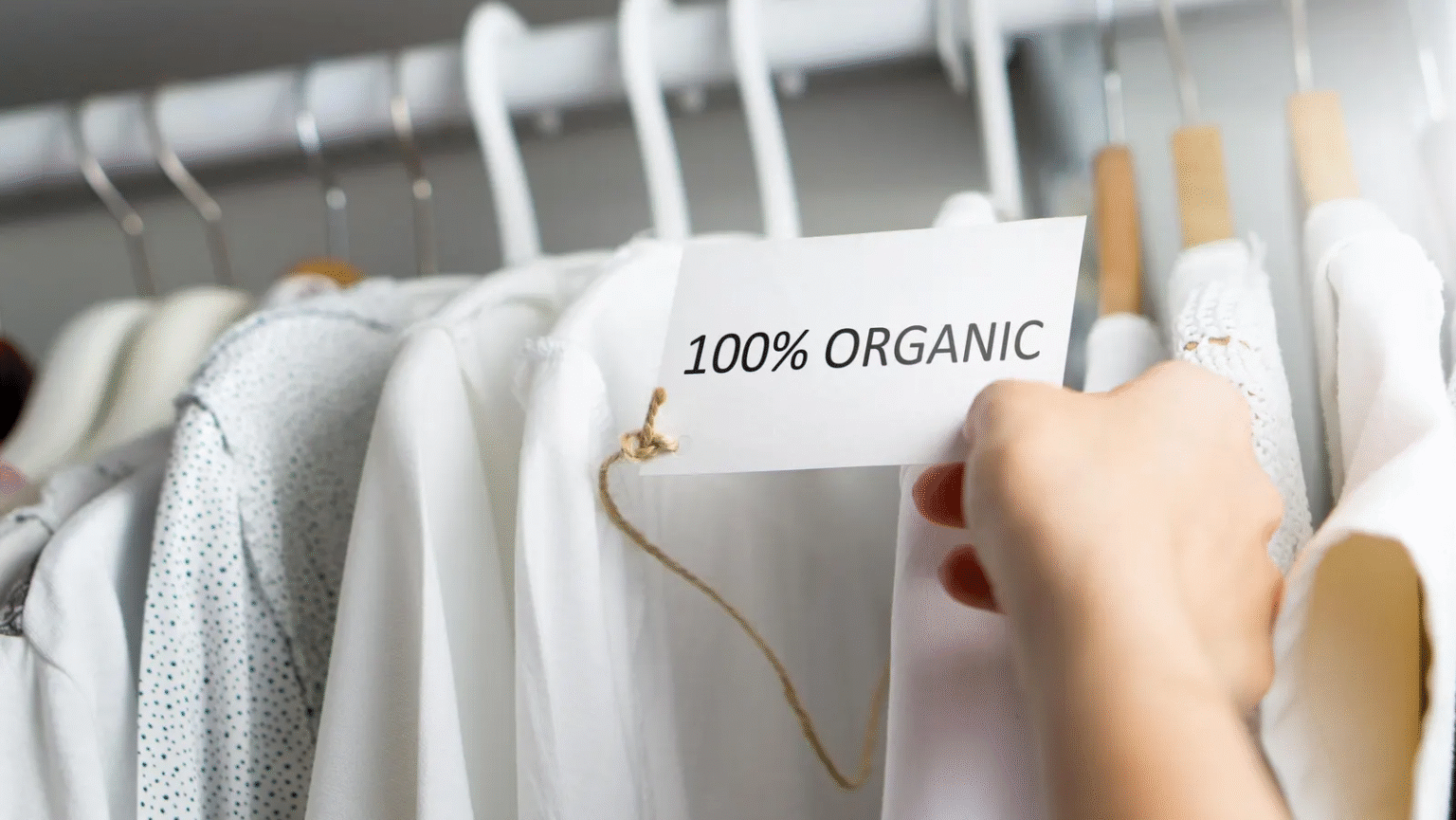 Eco-Friendly Fashion Brands You Can Trust