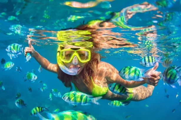 Resorts With Access to Unique Dive Locations