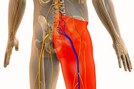 Exploring Pain Relief Techniques for Sciatica