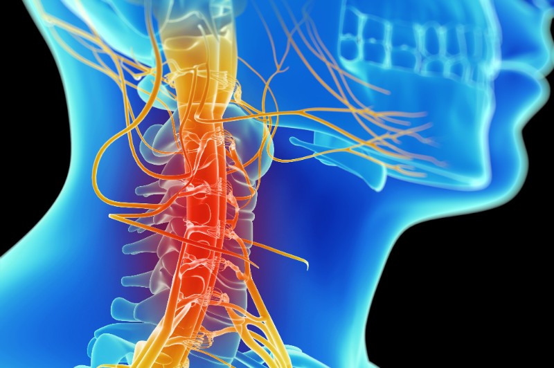 Understanding the Causes of Neck Pain