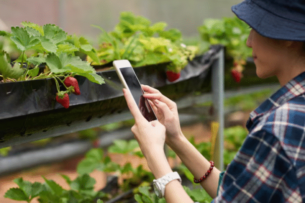 Farm Smart: Key Essentials Every Farming Operation Needs