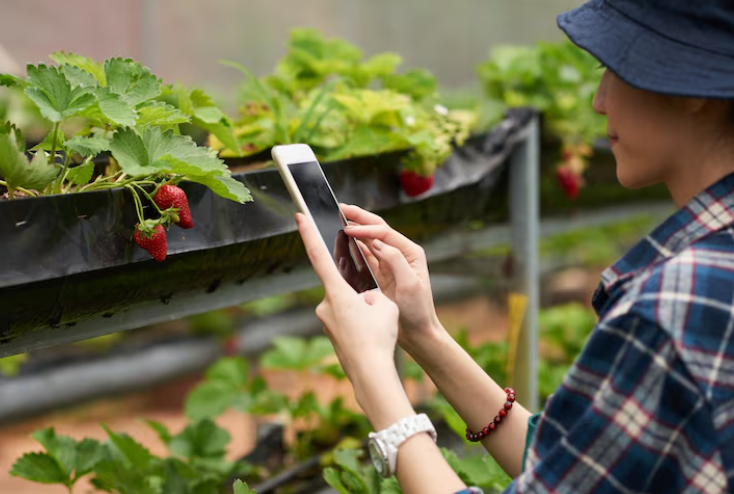 Farm Smart: Key Essentials Every Farming Operation Needs