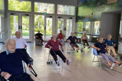 Innovative Approaches to Senior Socialization and Wellbeing