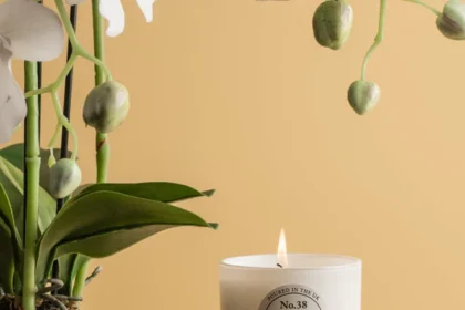 How Scented Candles Elevate Home Ambiance and Promote Relaxation